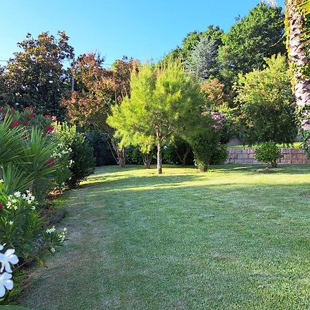 Casa Pinho ξενώνας São Pedro do Sul Εξωτερικό φωτογραφία