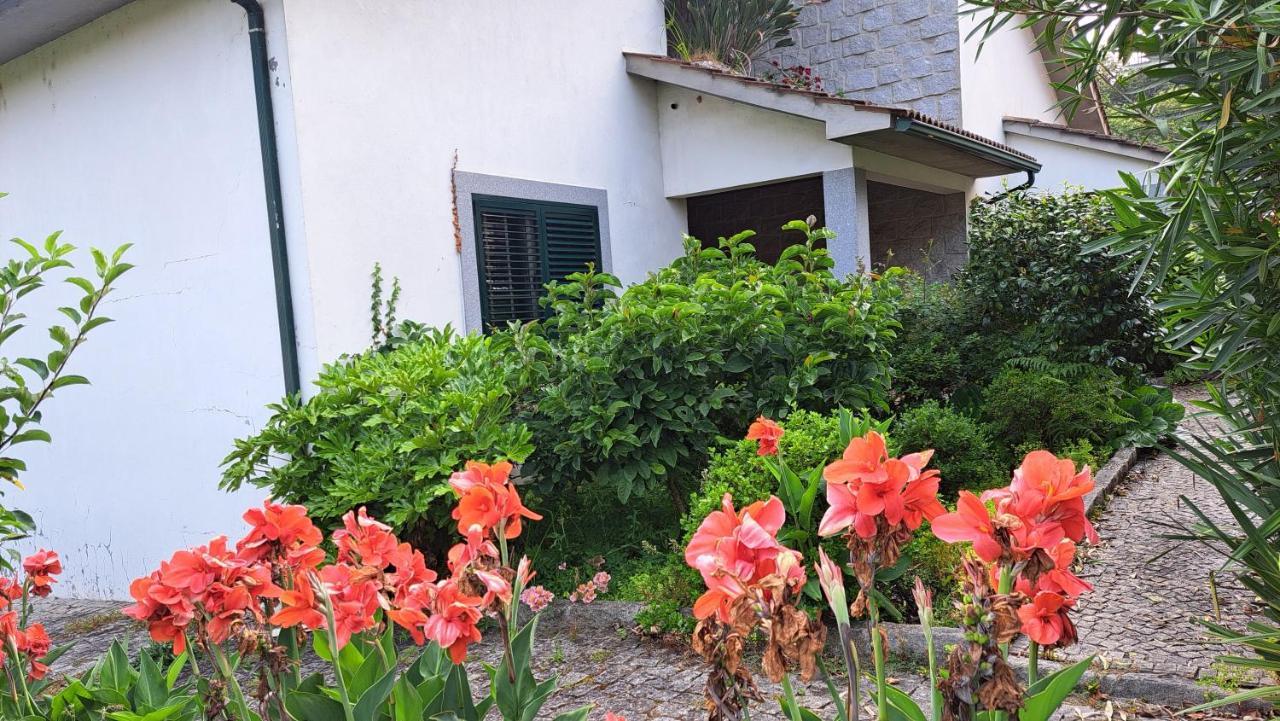 Casa Pinho ξενώνας São Pedro do Sul Εξωτερικό φωτογραφία