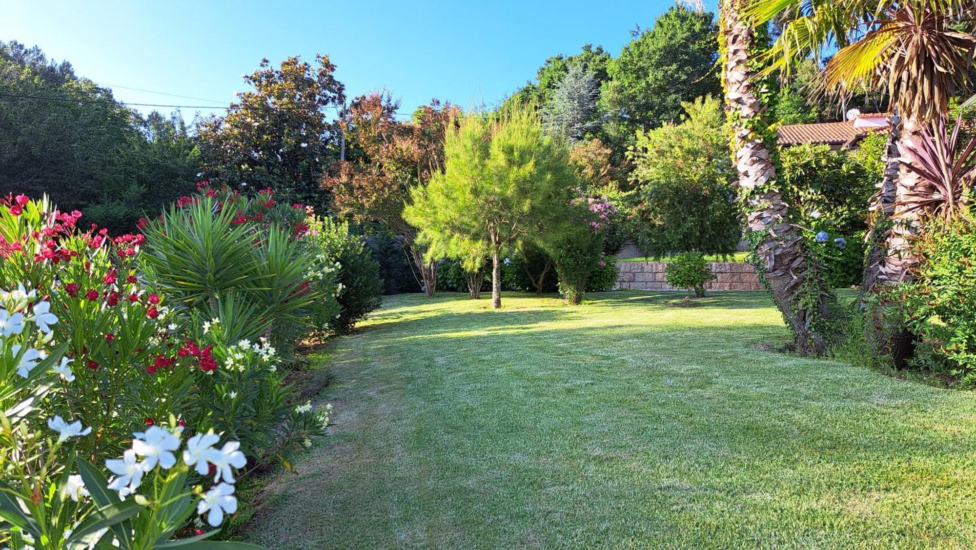 Casa Pinho ξενώνας São Pedro do Sul Εξωτερικό φωτογραφία
