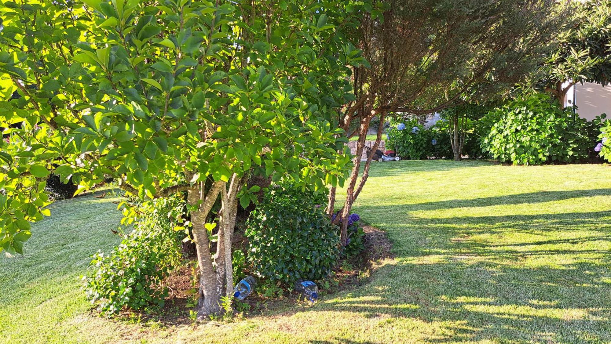 Casa Pinho ξενώνας São Pedro do Sul Εξωτερικό φωτογραφία