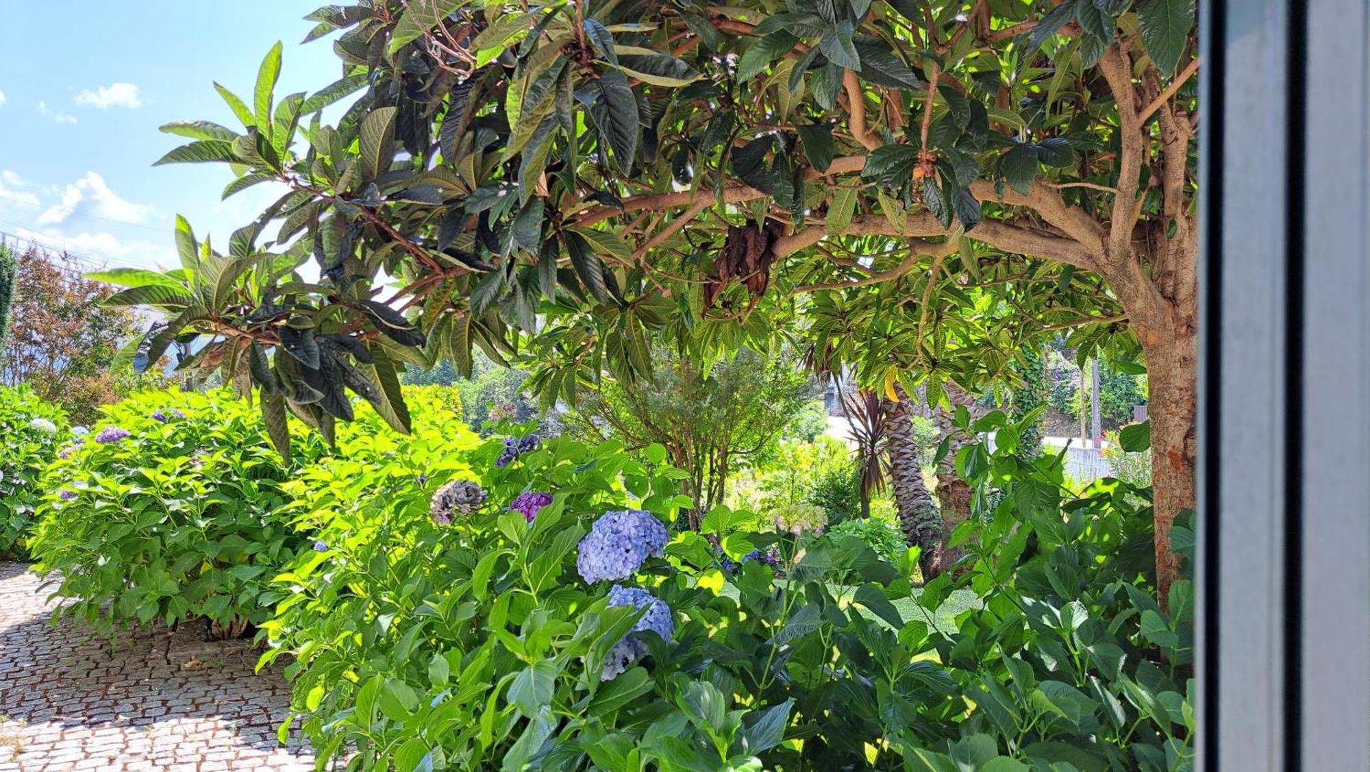 Casa Pinho ξενώνας São Pedro do Sul Εξωτερικό φωτογραφία