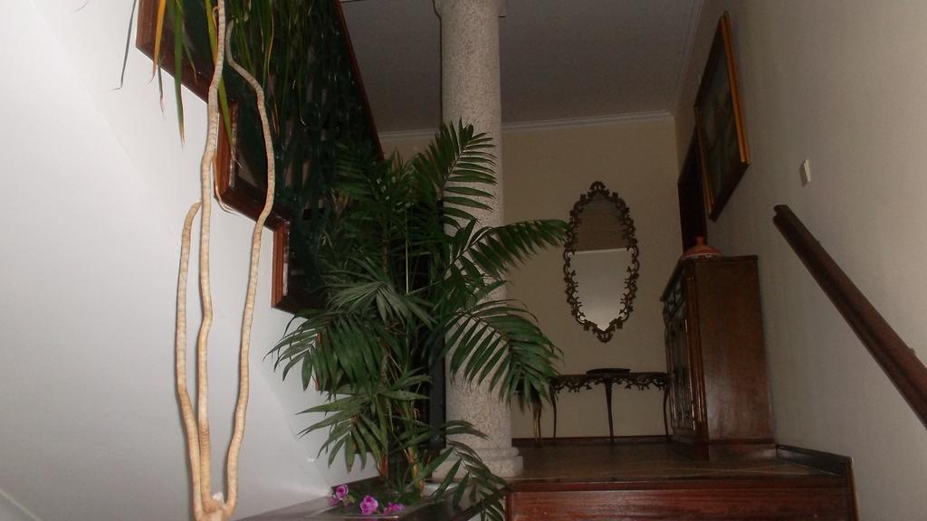 Casa Pinho ξενώνας São Pedro do Sul Εξωτερικό φωτογραφία